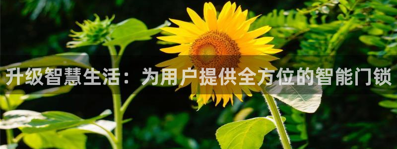 开丰娱乐注册电7O777：升级智慧生活：为用户提供全方位的智