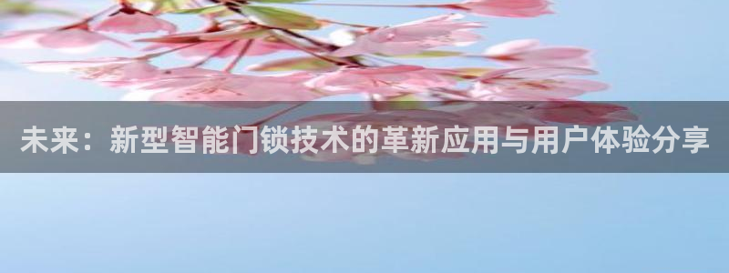 开丰娱乐网站：未来：新型智能门锁技术的革新应用与用户体验分享