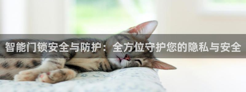 开丰娱乐除7O777：智能门锁安全与防护：全方位守护您的隐私