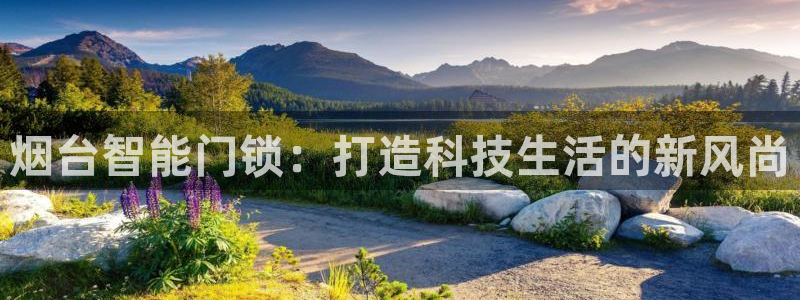 开丰娱乐前：烟台智能门锁：打造科技生活的新风尚