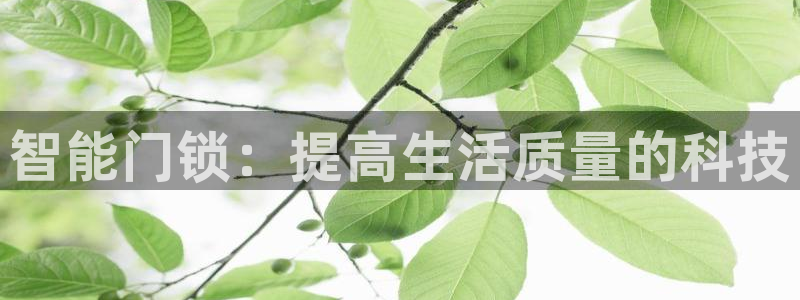开丰娱乐官网平台电话：智能门锁：提高生活质量的科技
