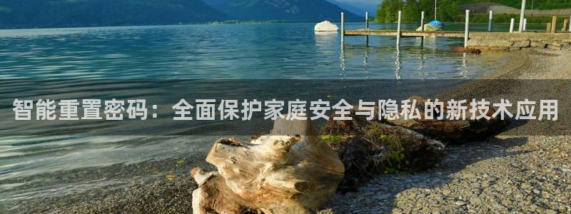 开丰娱乐登录注册：智能重置密码：全面保护家庭安全与隐私的新技