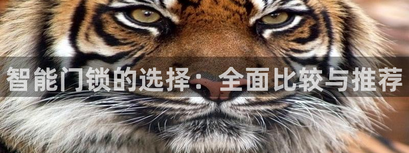 开丰娱乐测速：智能门锁的选择：全面比较与推荐