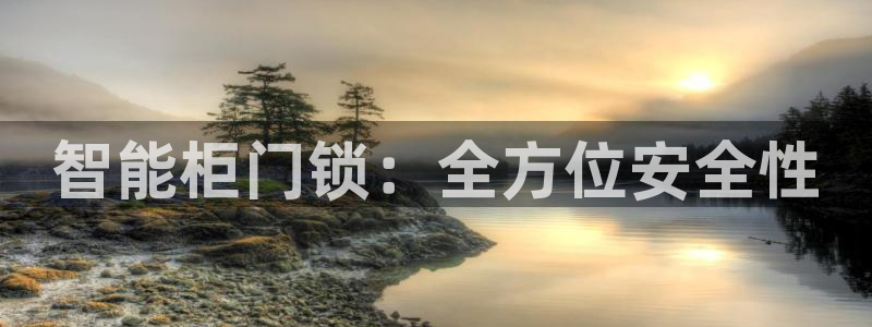 开丰娱乐登入地址在哪查：智能柜门锁：全方位安全性
