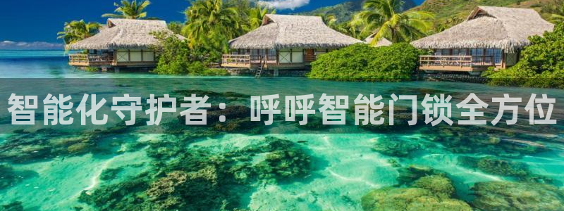 开丰娱乐登陆地址：智能化守护者：呼呼智能门锁全方位