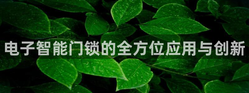 开丰娱乐 赢咖一：电子智能门锁的全方位应用与创新