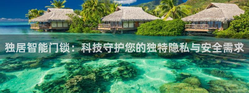 开丰娱乐平台登录：独居智能门锁：科技守护您的独特隐私与安全需