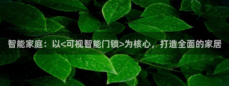 开丰娱乐最新活动：智能家庭：以<可视智能门锁>为核心，打造全