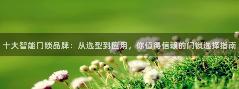 开丰娱乐优七九九47：十大智能门锁品牌：从选型到应用，你值得
